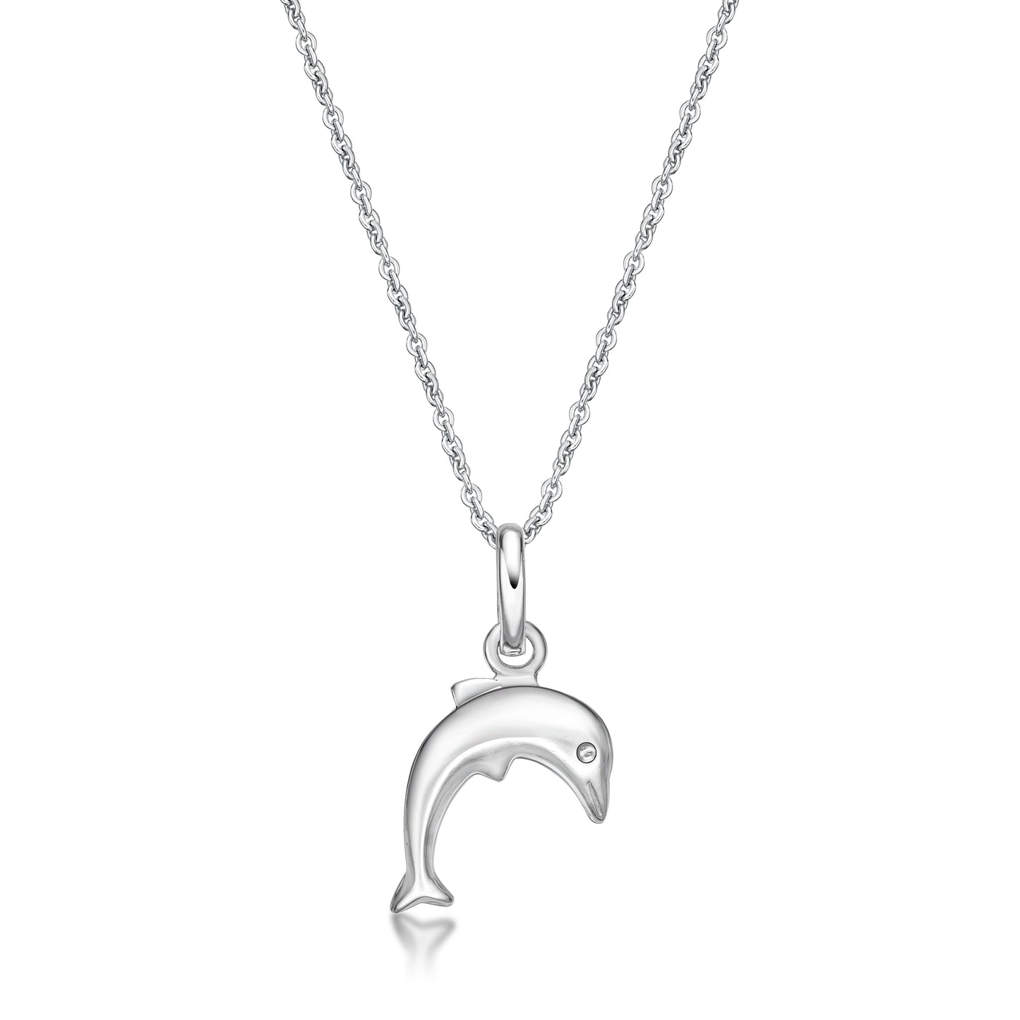 Dolphin