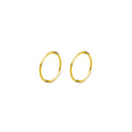 Classic sleeper earrings